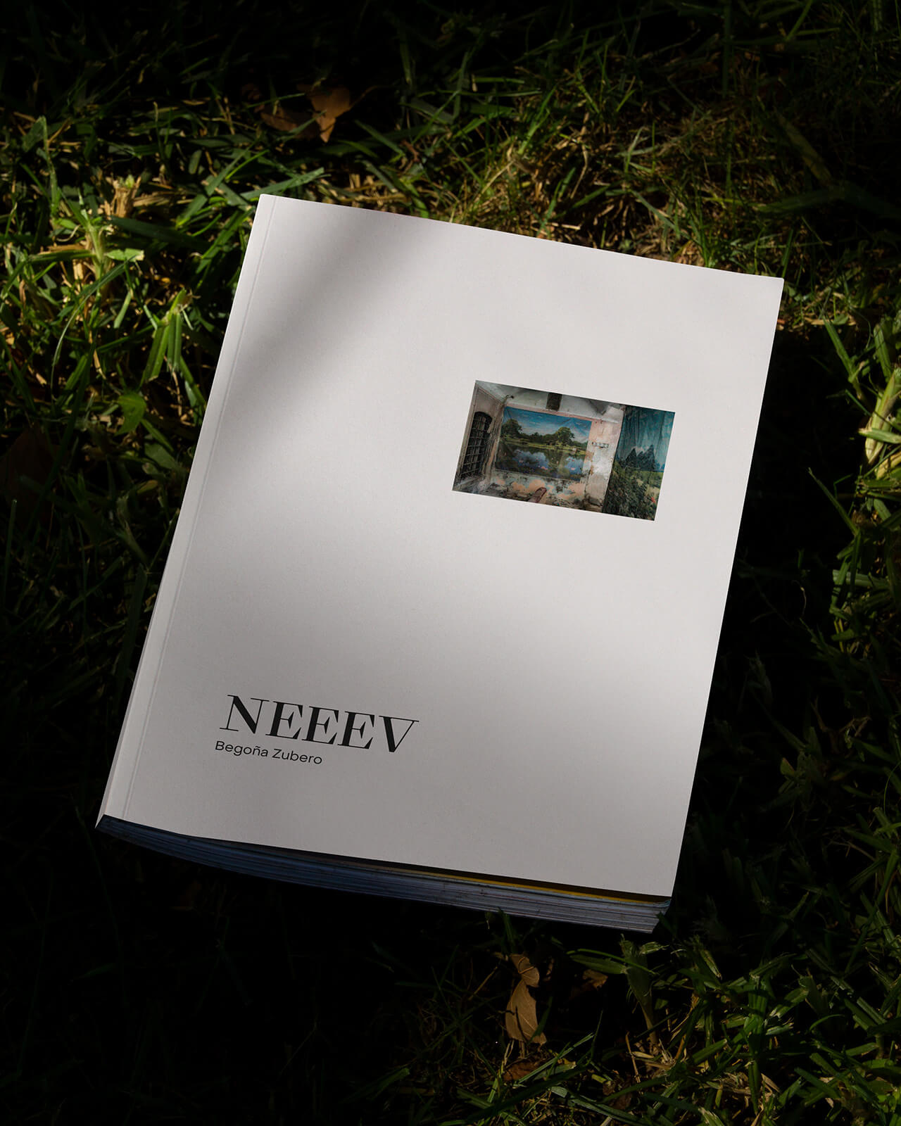 Neeev