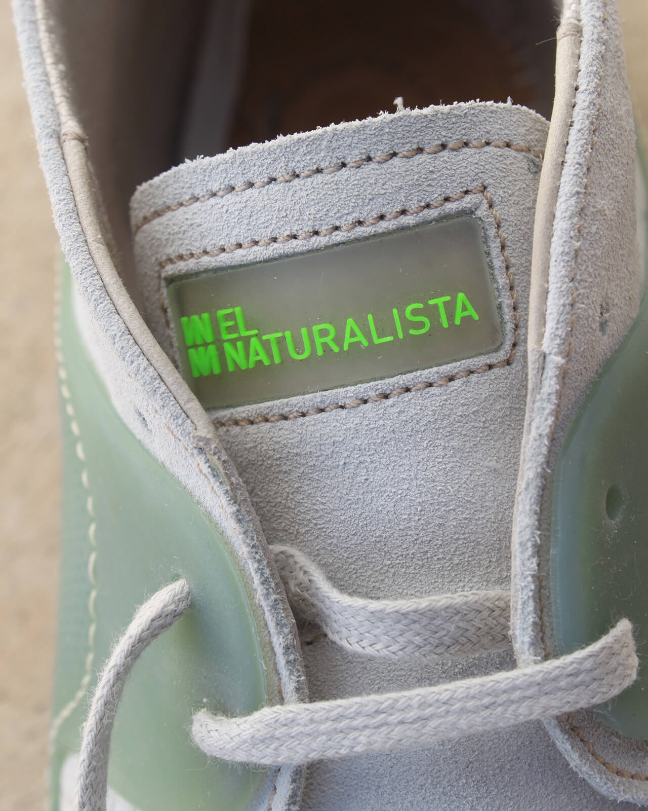 El Naturalista
